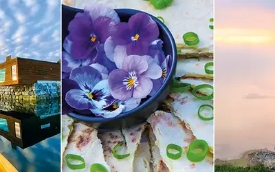 10 skatter på nordvestlandet