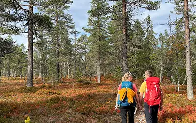 Inngangsporten til Hedmarksvidda