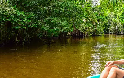 Tortuguero - Costa Ricas grønne lunge
