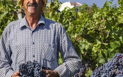 De hotteste reisemålene i 2024 (13-18)