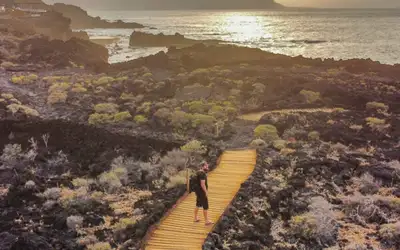 Den glemte kanariøya