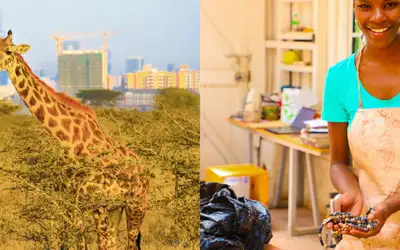 Mote og safari i Nairobi