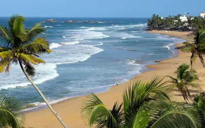Fant sitt paradis på Sri Lanka