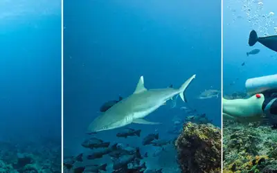 Testreise: En soloreise til Maldivene