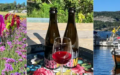 Oslofjordens matskatter