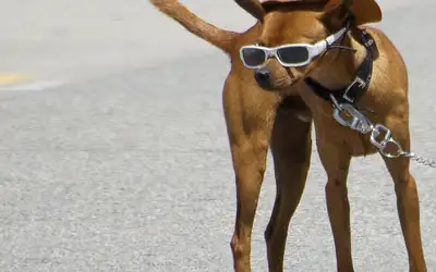 Våre beste reisehacks