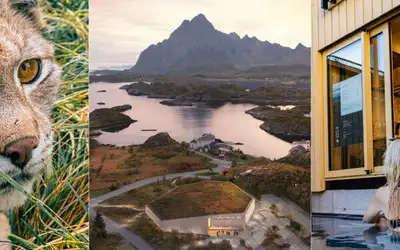 Spennende reisenyheter i Norge