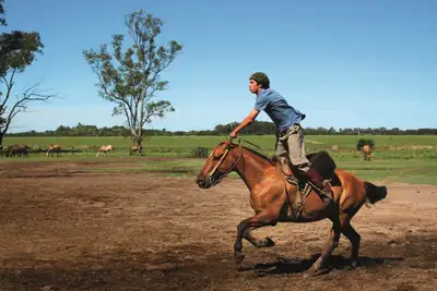 Frieri fra hesteryggen i Argentina