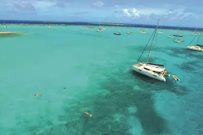 Sløv under solen i Karibia