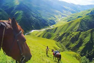 På fire bein i fjellheimen