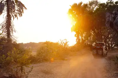 Til fots blant løver og elefanter