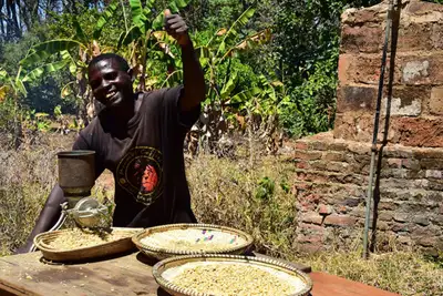 Den afrikanske kaffefarm