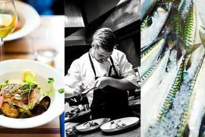 Fra hav til stjernehimmel i Gøteborg