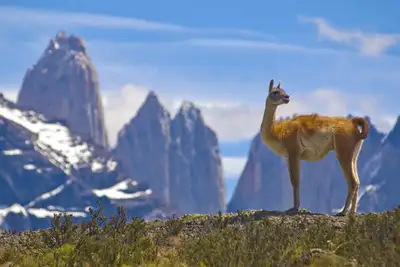 Sør-Amerikas fineste fotturer