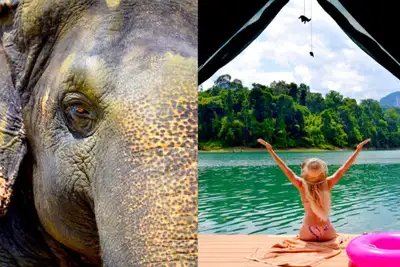 Glamping med elefanter