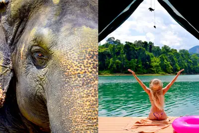 Glamping med elefanter