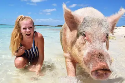 Grisebra strandferie