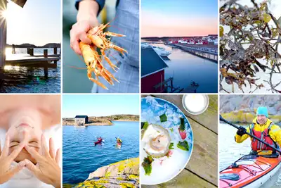 Vinterpadling i skjærgården