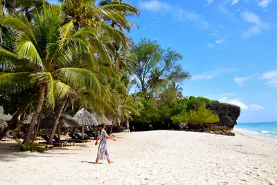 Afrikas drømmestrender