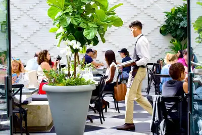 Gjemt gourmet i Tampa