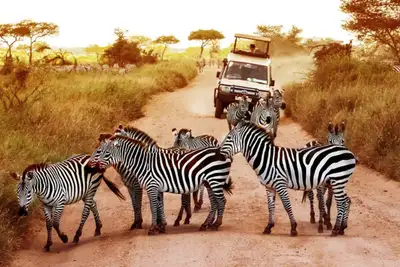 Vaksineguide: Afrika