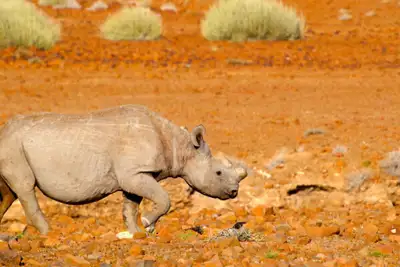 Overtro, håp og kjærlighet