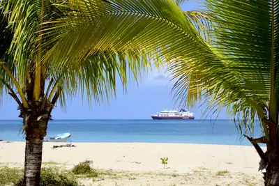Cruise for dummies