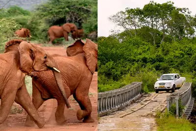 På ville veier i Afrika