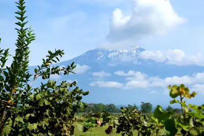 Når minnene våkner