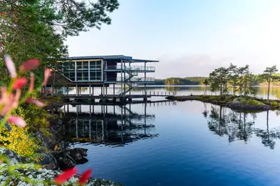 Norges vakreste skogspa