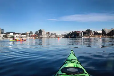 Sightseeing  til sjøs