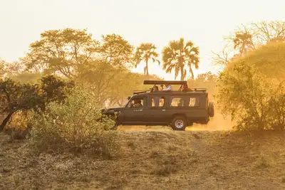 Afrikas beste safarier