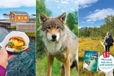 Forfatternes 11 favoritter i eventyrlige Nord-Norge