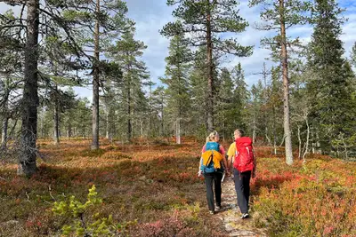 Inngangsporten til Hedmarksvidda