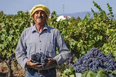 De hotteste reisemålene i 2024 (13-18)