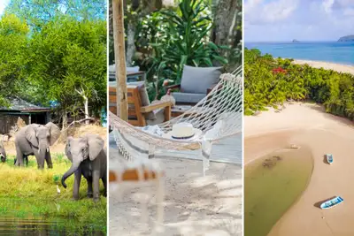 Ekspertenes Afrika-favoritter