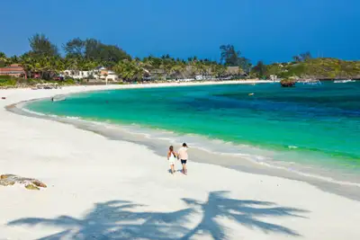 Kenya for strandløver