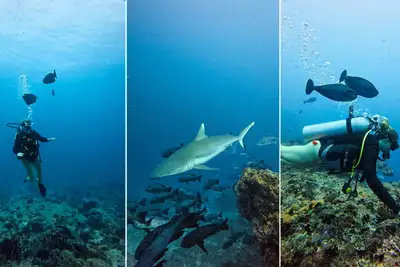 Testreise: En soloreisers siste hilsen