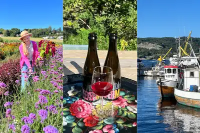 Oslofjordens matskatter