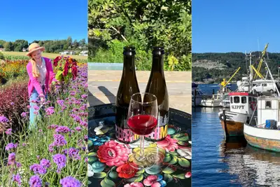 Oslofjordens matskatter