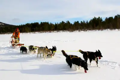 Spennende vinteropplevelser i Nord-Norge