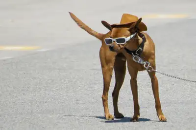 Våre beste reisehacks