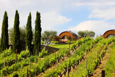 En natt på druen i Dourodalen