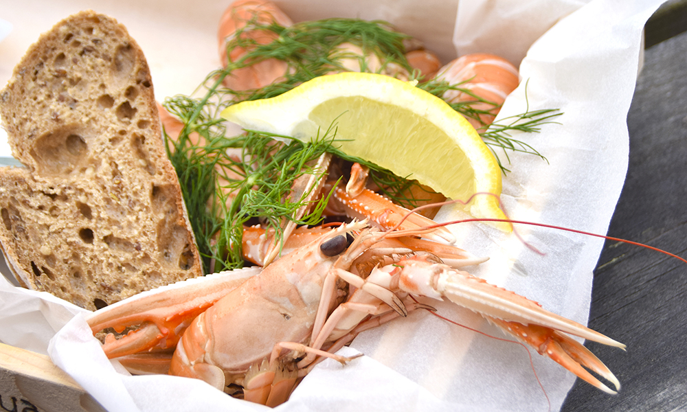 kattegatleden foto mari bareksten (49)